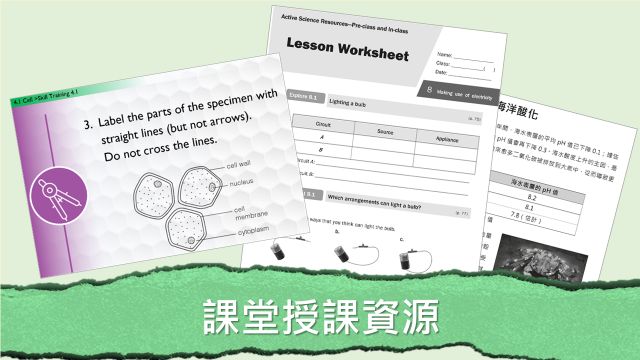 課前、課堂、評估及課後資源