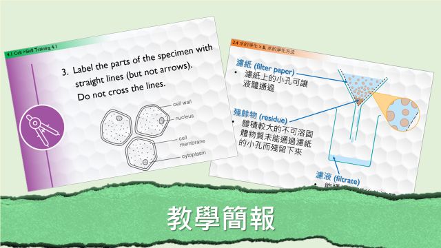 課前、課堂、評估及課後資源