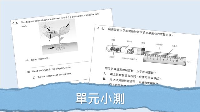 課前、課堂、評估及課後資源